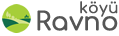Ravno.org